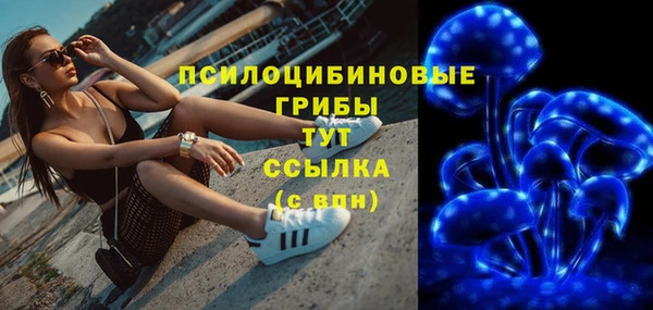 дживик Семикаракорск